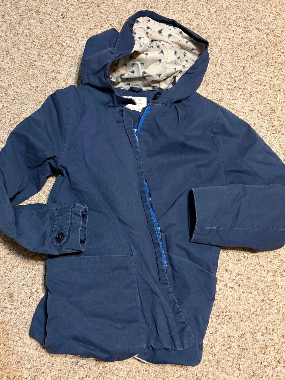 Zara Kids Jacket
